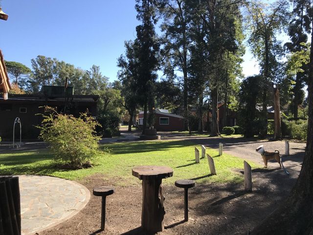 place photo 38