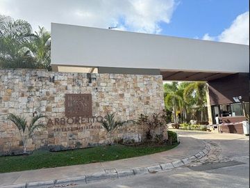 place photo 40