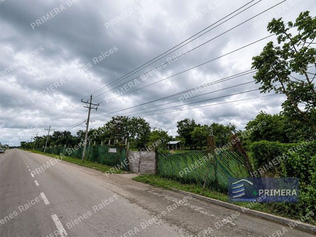 place photo 15