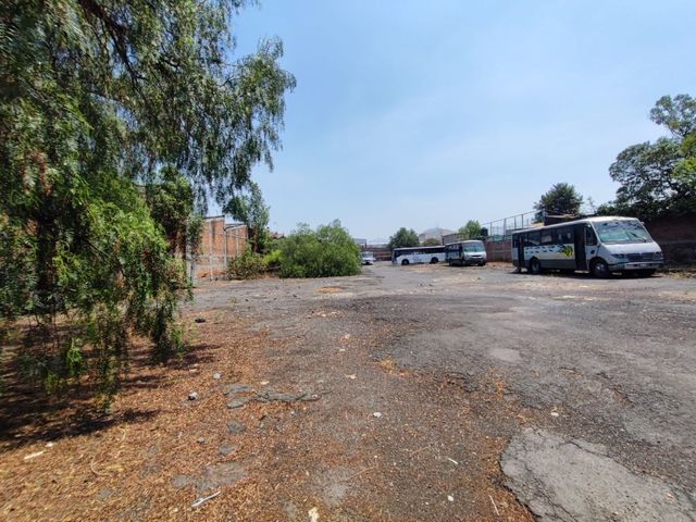 place photo 11