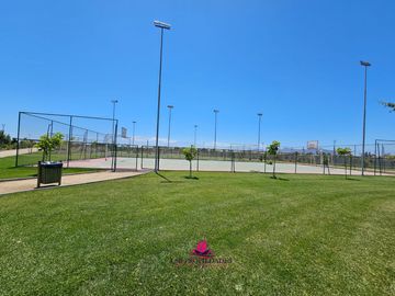place photo 22