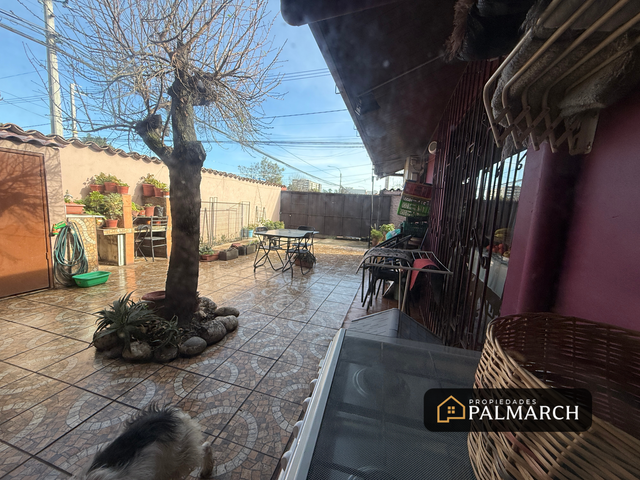 place photo 19