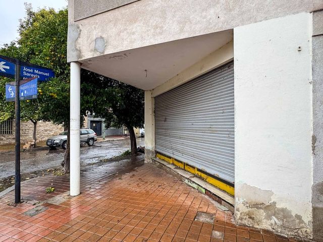 place photo 59