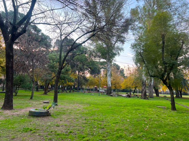 place photo 22