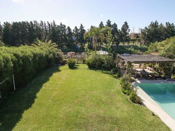 place photo 44