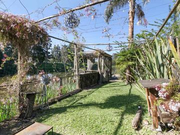 place photo 52