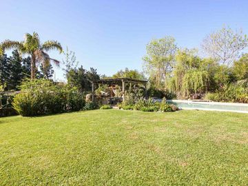 place photo 49
