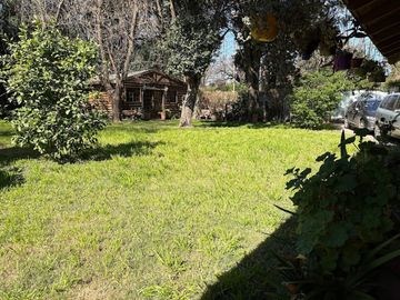 place photo 26