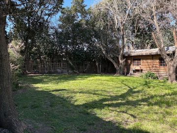 place photo 34