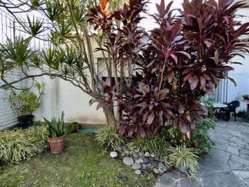 place photo 35