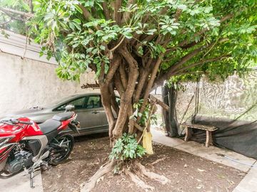 place photo 43