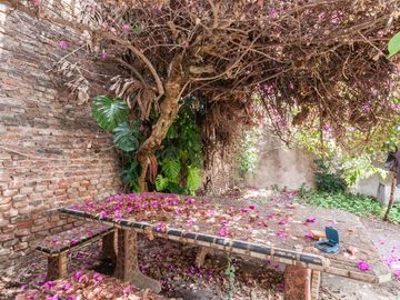 place photo 40