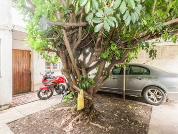 place photo 44