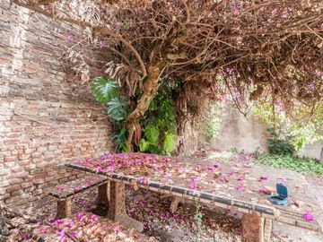 place photo 38