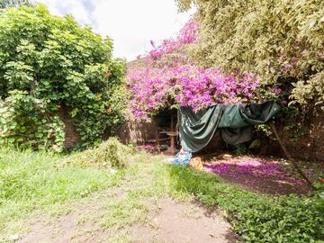 place photo 34