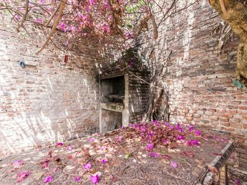 place photo 37
