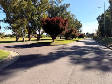 place photo 47
