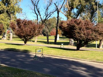 place photo 48