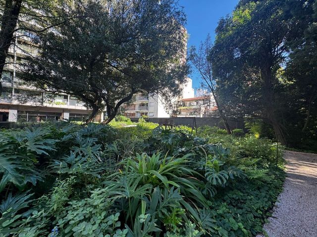 place photo 54