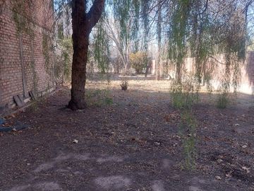 place photo 29