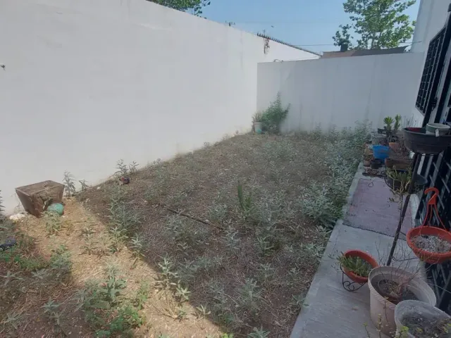 place photo 34
