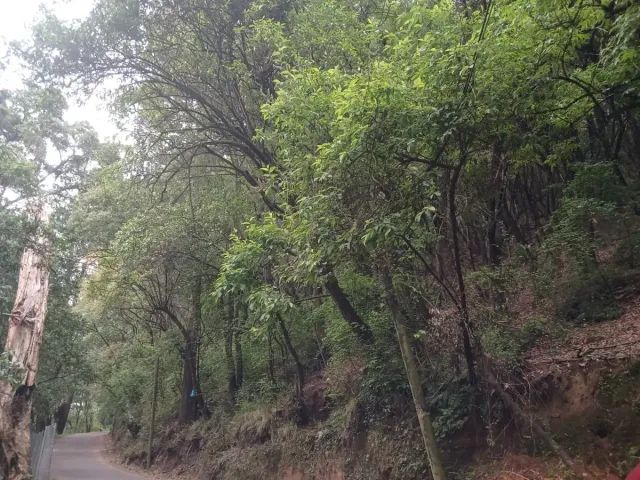 place photo 14