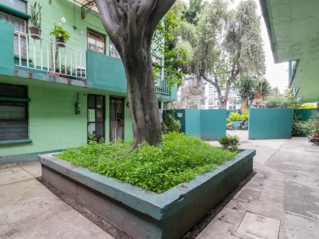 place photo 13