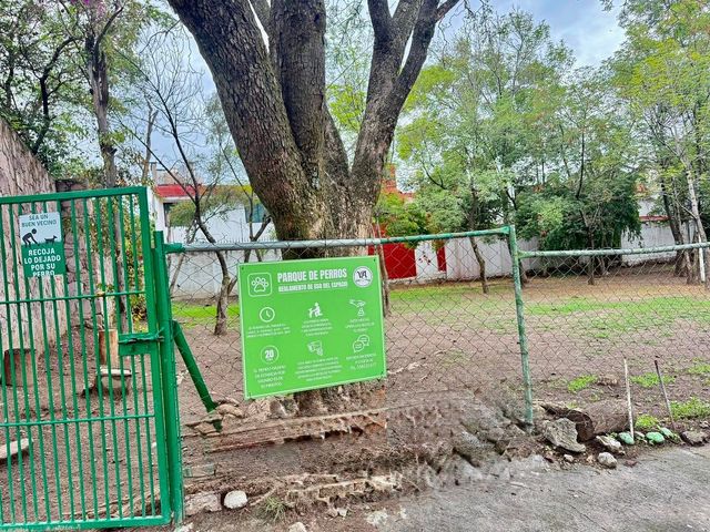 place photo 33