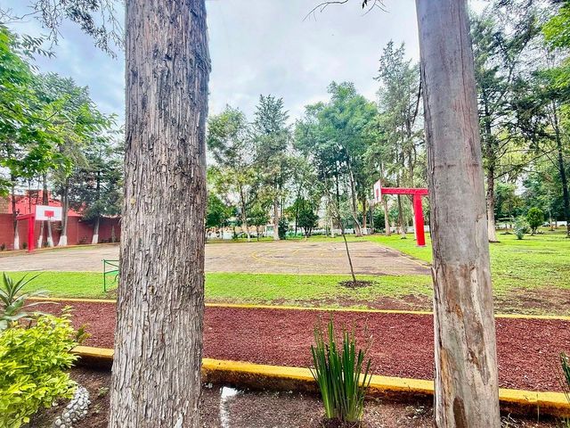 place photo 32
