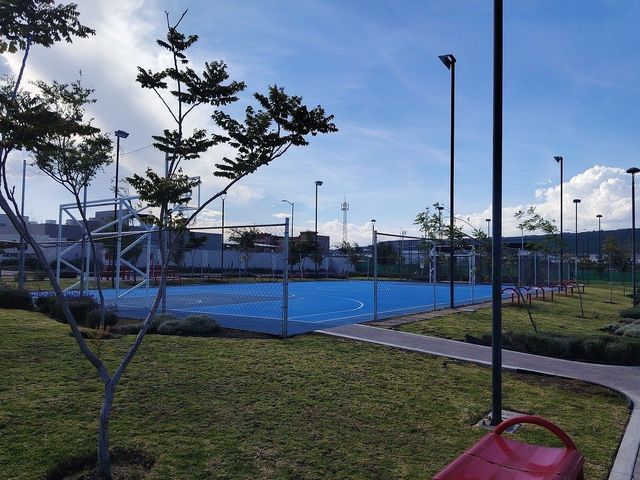 place photo 14