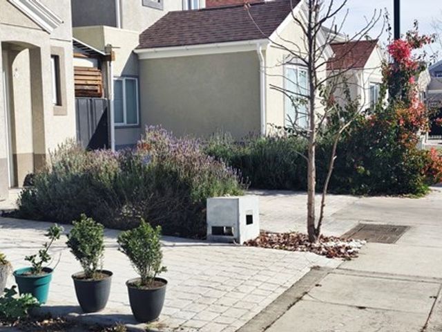 place photo 35