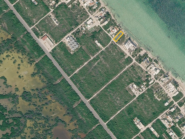 place photo 12