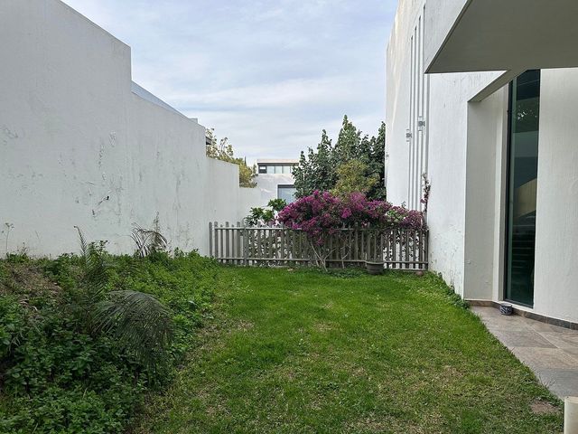 place photo 47