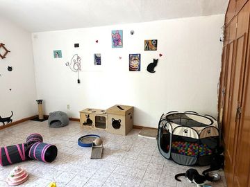 place photo 34