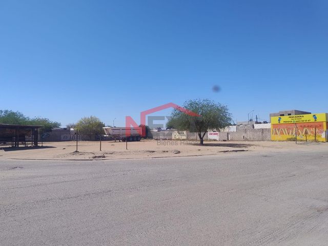 place photo 7
