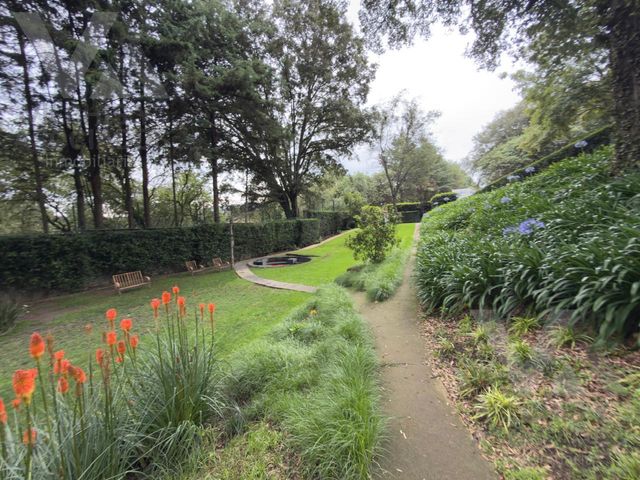 place photo 70