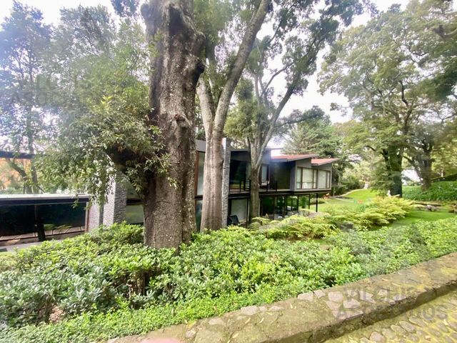 place photo 74