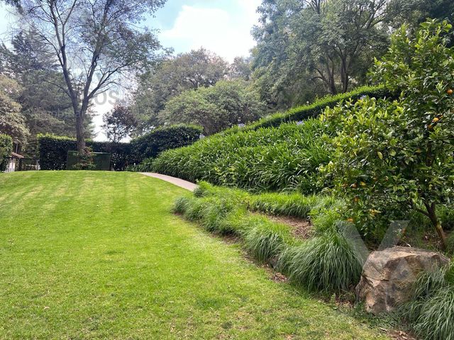 place photo 73