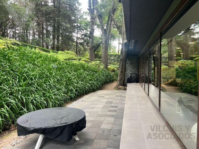 place photo 43