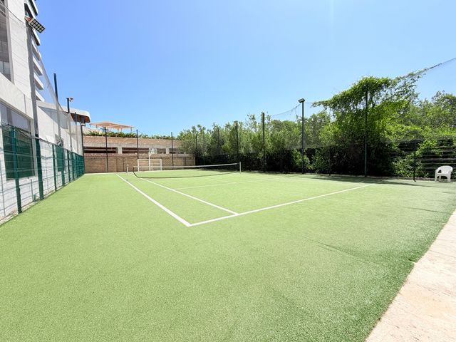 place photo 31