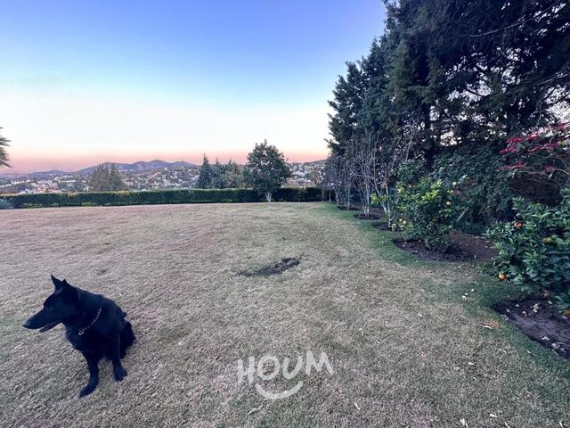 place photo 41
