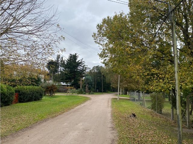 place photo 6