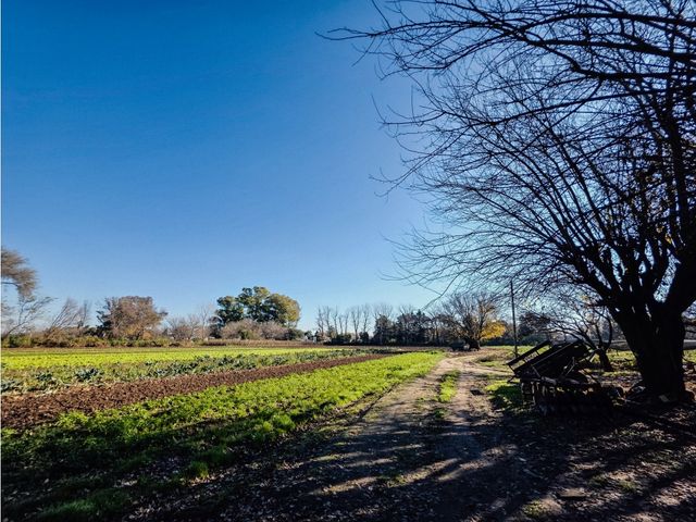 place photo 36
