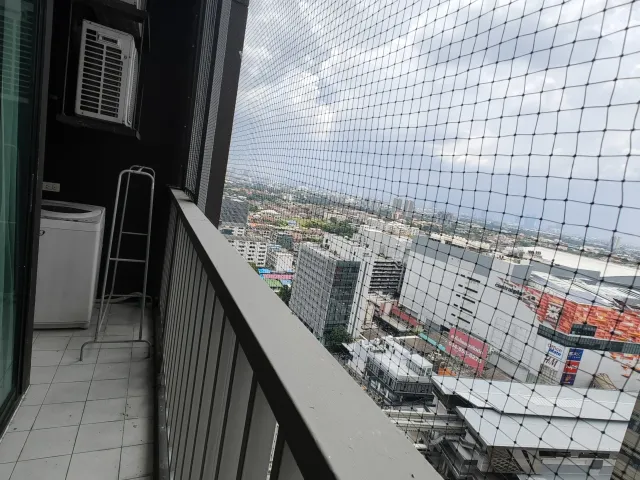 place photo 17
