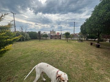 place photo 37