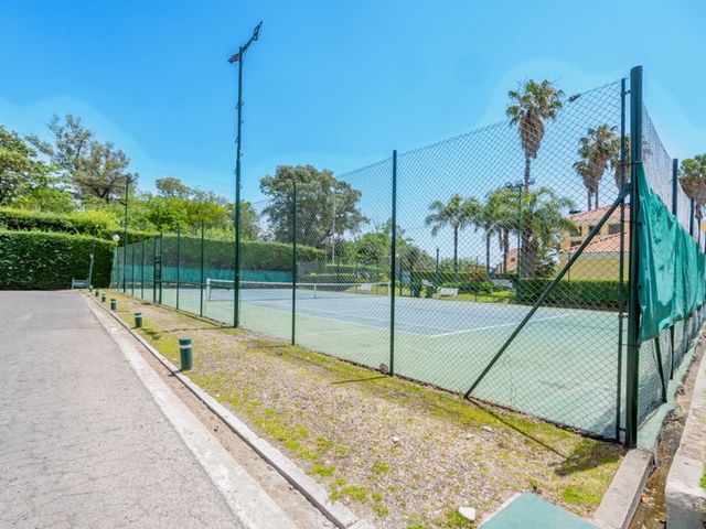 place photo 53