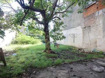 place photo 19