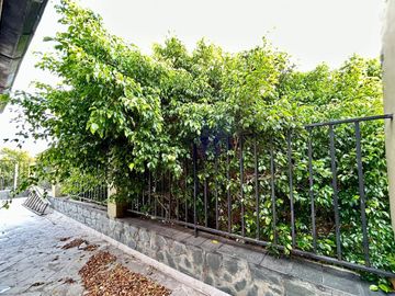 place photo 35