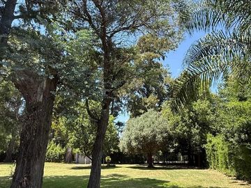 place photo 36