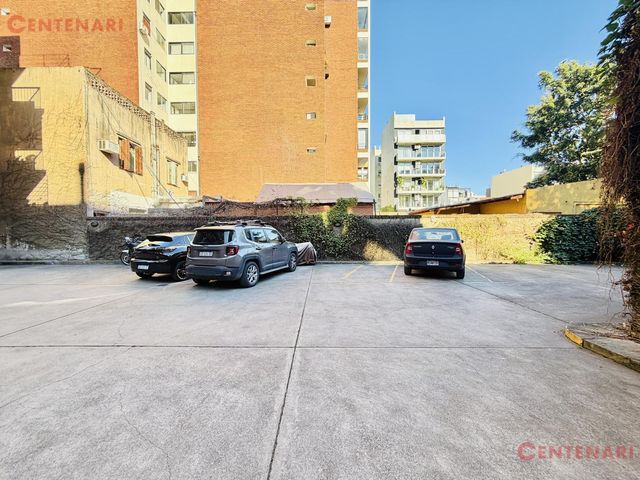 place photo 24